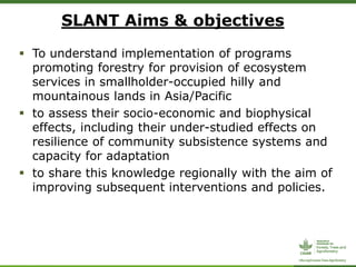 CIFOR/ICRAF sloping lands in transition (SLANT) project