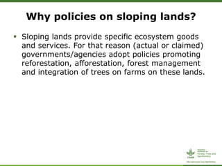 CIFOR/ICRAF sloping lands in transition (SLANT) project