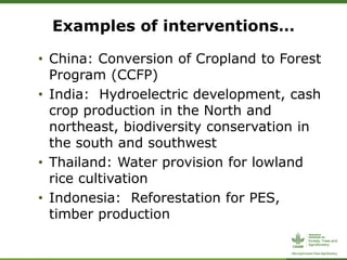 CIFOR/ICRAF sloping lands in transition (SLANT) project