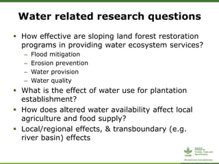 CIFOR/ICRAF sloping lands in transition (SLANT) project