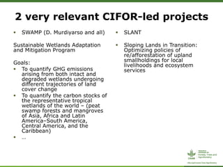 CIFOR/ICRAF sloping lands in transition (SLANT) project