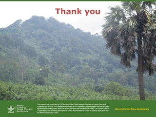 CIFOR/ICRAF sloping lands in transition (SLANT) project