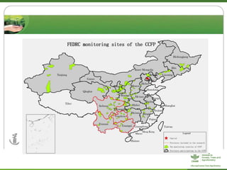 CIFOR/ICRAF sloping lands in transition (SLANT) project