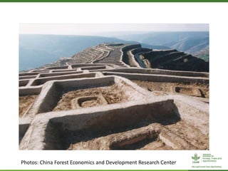 CIFOR/ICRAF sloping lands in transition (SLANT) project