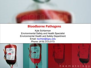 Bloodborne Pathogens
Kyle Schlarman
Environmental Safety and Health Specialist
Environmental Health and Safety Department
Email: kschlar@bgsu.edu
Phone: (419) 372-2173

 