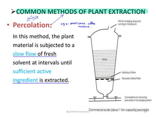 Comprehensive Guide to Preparation and Extraction of Medicinal Plant ...