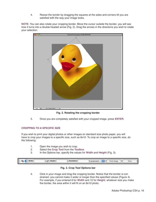 4.      Resize the border by dragging the squares at the sides and corners till you are
                satisfied with the way your image looks.

NOTE: You can also rotate your cropping border. Move the cursor outside the border, you will see
how it turns into a double-headed arrow (Fig. 2). Drag the arrows in the directions you wish to rotate
your selection.




                               Fig. 2. Rotating the cropping border

        5.      Once you are completely satisfied with your cropped image, press ENTER.


CROPPING TO A SPECIFIC SIZE

If you wish to print your digital photos or other images on standard size photo paper, you will
have to crop your images to a specific size, such as 8x10. To crop an image to a specific size, do
the following:

        1.      Open the image you wish to crop.
        2.      Select the Crop Tool from the Toolbox.
        3.      In the Options bar, specify the values for Width and Height (Fig. 3).




                                   Fig. 3. Crop Tool Options bar

        4.      Click in your image and drag the cropping border. Notice that the border is con
                strained -you cannot make it wider or longer than the specified values (Figure 4).
                For example, if you entered 8 for Width and 10 for Height, whatever size you make
                the border, the area within it will fit on an 8x10 photo.

                                                                                 Adobe Photoshop CS4 p. 16
 