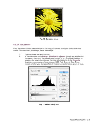 Fig. 10. Corrected photo


COLOR ADJUSTMENT

Color adjustment options in Photoshop CS4 can help you to make your digital photos look more
natural. To color correct your images, follow these steps:

       1.      Open the image you wish to correct.
       2.      In the main menu, go to Image > Adjustments > Levels. You will see a dialog box
               displaying a diagram of the colors in your image (Fig. 11). The black triangle is for
               shadows, the gray is for midtones, the white is for highlights. In the Channels
               dropdown menu, you can choose between RGB, Red, Green, or Blue. These
               indicate whether your changes effect all the colors, or just one (red, green, or blue).




                                    Fig. 11. Levels dialog box




                                                                                 Adobe Photoshop CS4 p. 25
 