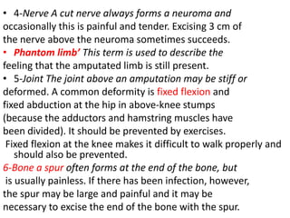 • 4-Nerve A cut nerve always forms a neuroma and
occasionally this is painful and tender. Excising 3 cm of
the nerve above the neuroma sometimes succeeds.
• Phantom limb’ This term is used to describe the
feeling that the amputated limb is still present.
• 5-Joint The joint above an amputation may be stiff or
deformed. A common deformity is fixed flexion and
fixed abduction at the hip in above-knee stumps
(because the adductors and hamstring muscles have
been divided). It should be prevented by exercises.
Fixed flexion at the knee makes it difficult to walk properly and
should also be prevented.
6-Bone a spur often forms at the end of the bone, but
is usually painless. If there has been infection, however,
the spur may be large and painful and it may be
necessary to excise the end of the bone with the spur.
 