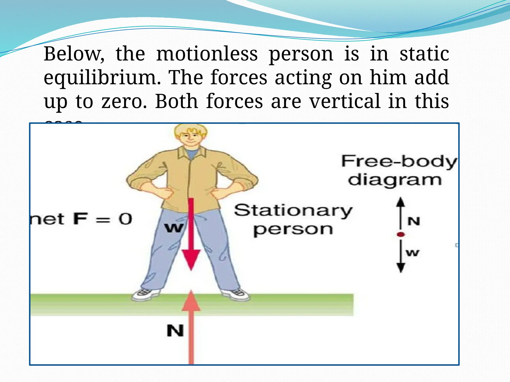 Below, the motionless person is in static
equilibrium. The forces acting on him add
up to zero. Both forces are vertical in this
case.
 