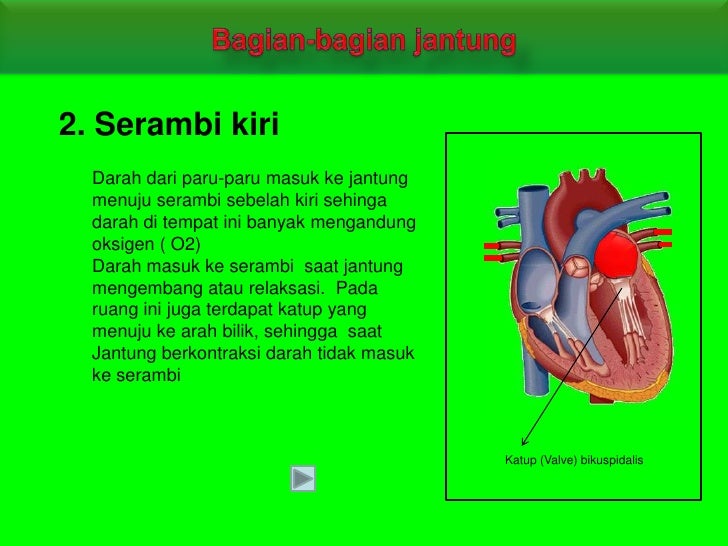 Sitem Transportasi Sitem Transportasi