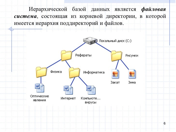 Примером иерархической базы данных является каталог файлов