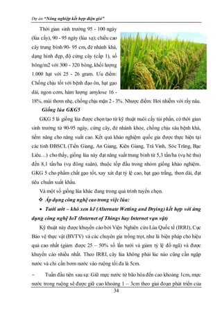Dự án “Nông nghiệp kết hợp điện gió”
34
Thời gian sinh trưởng 95 - 100 ngày
(lúa cấy), 90 - 95 ngày (lúa sạ); chiều cao
cây trung bình 90- 95 cm, đẻ nhánh khá,
dạng hình đẹp, độ cứng cây (cấp 1), số
bông/m2 với 300 - 320 bông, khối lượng
1.000 hạt với 25 - 26 gram. Ưu điểm:
Chống chịu tốt với bệnh đạo ôn, hạt gạo
dài, ngon cơm, hàm lượng amylose 16 -
18%, mùi thơm nhẹ, chống chịu mặn 2 - 3%. Nhược điểm: Hơi nhiễm với rầy nâu.
Giống lúa GKG5
GKG 5 là giống lúa được chọn tạo từ kỹ thuật nuôi cấy túi phấn, có thời gian
sinh trưởng từ 90-95 ngày, cứng cây, đẻ nhánh khỏe, chống chịu sâu bệnh khá,
tiềm năng cho năng suất cao. Kết quả khảo nghiệm quốc gia được thực hiện tại
các tỉnh ĐBSCL (Tiền Giang, An Giang, Kiên Giang, Trà Vinh, Sóc Trăng, Bạc
Liêu…) cho thấy, giống lúa này đạt năng suất trung bình từ 5,3 tấn/ha (vụ hè thu)
đến 8,1 tấn/ha (vụ đông xuân), thuộc tốp đầu trong nhóm giống khảo nghiệm.
GKG 5 cho phẩm chất gạo tốt, xay xát đạt tỷ lệ cao, hạt gạo trắng, thon dài, đạt
tiêu chuẩn xuất khẩu.
Và một số giống lúa khác đang trong quá trình tuyển chọn.
 Áp dụng công nghệ cao trong việc lúa:
 Tưới ướt – khô xen kẽ (Alternate Wetting and Drying) kết hợp với ứng
dụng công nghệ IoT (Internet of Things hay Internet vạn vật)
Kỹ thuật này được khuyến cáo bởi Viện Nghiên cứu Lúa Quốc tế (IRRI), Cục
Bảo vệ thực vật (BVTV) và các chuyên gia trồng trọt, như là biện pháp cho hiệu
quả cao nhất (giảm được 25 – 50% số lần tưới và giảm tỷ lệ đổ ngã) và được
khuyến cáo nhiều nhất. Theo IRRI, cây lúa không phải lúc nào cũng cần ngập
nước và chỉ cần bơm nước vào ruộng tối đa là 5cm.
- Tuần đầu tiên sau sạ: Giữ mực nước từ bão hòa đến cao khoảng 1cm, mực
nước trong ruộng sẽ được giữ cao khoảng 1 – 3cm theo giai đoạn phát triển của
 