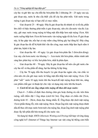 Dự án “Nông nghiệp kết hợp điện gió”
35
cây lúa và giữ liên tục cho đến lúc bón phân lần 2 (khoảng 20 – 25 ngày sau sạ),
giai đoạn này, nước là nhu cầu thiết yếu để cây lúa phát triển. Giữ nước trong
ruộng ở giai đoạn này sẽ hạn chế cỏ mọc mầm.
- Giai đoạntừ 25 – 40 ngày: Đây là giai đoạn lúa đẻ nhánh rộ và tối đa, phần
lớn chồi vô hiệu thường phát triển ở giai đoạn này, nên chỉ cần nước vừa đủ. Lúc
này, giữ mực nước trong ruộng từ bằng mặt đến thấp hơn mặt ruộng 15cm. Khi
nước xuống thấp hơn 15cm thì bơm nước vào ruộng ngập tối đa 5cm. Ở giai đoạn
này, lá lúa giáp tán, nếu hạt cỏ nảy mầm cũng không gây hại đáng kể. Đây cũng
là giai đoạn lúa rất dễ bị bệnh khô vằn tấn công, mực nước thấp làm hạch nấm ít
phát tán, bệnh ít lây lan.
- Giai đoạn lúa 40 – 45 ngày: Là giai đoạn bón phân lần 3 (bón đón đòng).
Lúc này cần bơm nước vào khoảng 1 – 3cm trước khi bón phân, nhằm tránh ánh
sáng làm phân hủy và bốc hơi phân bón, nhất là phân đạm.
- Giai đoạn lúa 60 – 70 ngày: Đây là giai đoạn lúa trỗ nên cần giữ nước cho
cây lúa trỗ và thụ phấn dễ dàng, hạt lúa không bị lép lửng.
- Cây lúa 70 ngày đến thu hoạch: Là giai đoạn lúa ngậm sữa, vào chắc và
chín nên chỉ cần giữ mực nước từ bằng mặt đến thấp hơn mặt ruộng 15cm. Cần
phải “xiết’’ nước 10 ngày trước khi thu hoạch để mặt ruộng được khô ráo, nâng
cao phẩm chất gạo và thuận lợi cho việc sử dụng máy móc khi thu hoạch.
 Cách bố trí các ống nhựa trên ruộng để theo dõi mực nước:
Chọn 4 – 5 điểm cố định theo đường chéo góc hoặc đường zíc-zắc trên thửa
ruộng, mỗi điểm đặt 1 ống nhựa (cách bờ 3m). Ống nhựa có chiều dài 25cm,
đường kính 10 – 20cm, được đục thủng nhiều lỗ. Ống được đặt dưới mặt ruộng
15cm (phần thủng lỗ), trên mặt ruộng 10cm. Đoạn ống trên mặt ruộng được đánh
dấu để theo dõimực nước bơm tưới cho ruộng lúa; đoạn ống dưới mặt ruộng phải
được lấy hết phần đất bên trong để cho nước vào.
Sử dụng kỹ thuật AWD (Alternate Wetting and Drying) kết hợp với ứng dụng
công nghệ IoT (Internet of Things hay Internet vạn vật) cùng hệ thống cảm biến
 