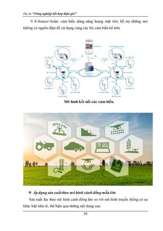 Dự án “Nông nghiệp kết hợp điện gió”
39
9. E-Sensor Solar: cảm biến dùng năng lượng mặt trời, hỗ trợ những nơi
không có nguồn điện để sử dụng cùng các bộ cảm biến kể trên.
Mô hình kết nối các cảm biến.
 Áp dụng sản xuấttheo mô hình cánh đồng mẫu lớn
Sản xuất lúa theo mô hình cánh đồng lớn so với mô hình truyền thống có sự
khác biệt khá rõ, thể hiện qua những nội dung sau:
 