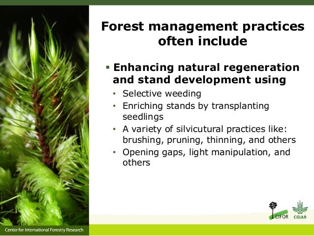 Traditional Ecological Knowledge And Natural Resource Management Traditional Ecological Knowledge And Natural Resource Management