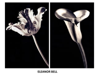 ELEANOR BELL
 