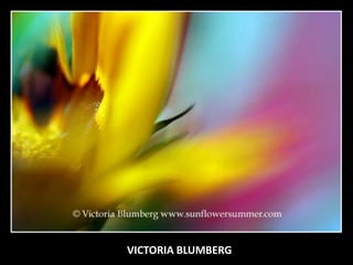 VICTORIA BLUMBERG
 