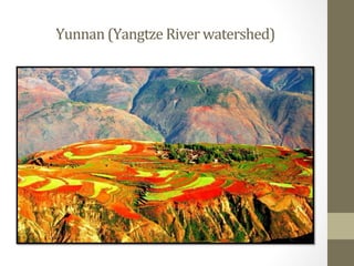 China's Environment and power relations: The case of the Conversion of Cropland to Forest Programme