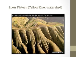 China's Environment and power relations: The case of the Conversion of Cropland to Forest Programme