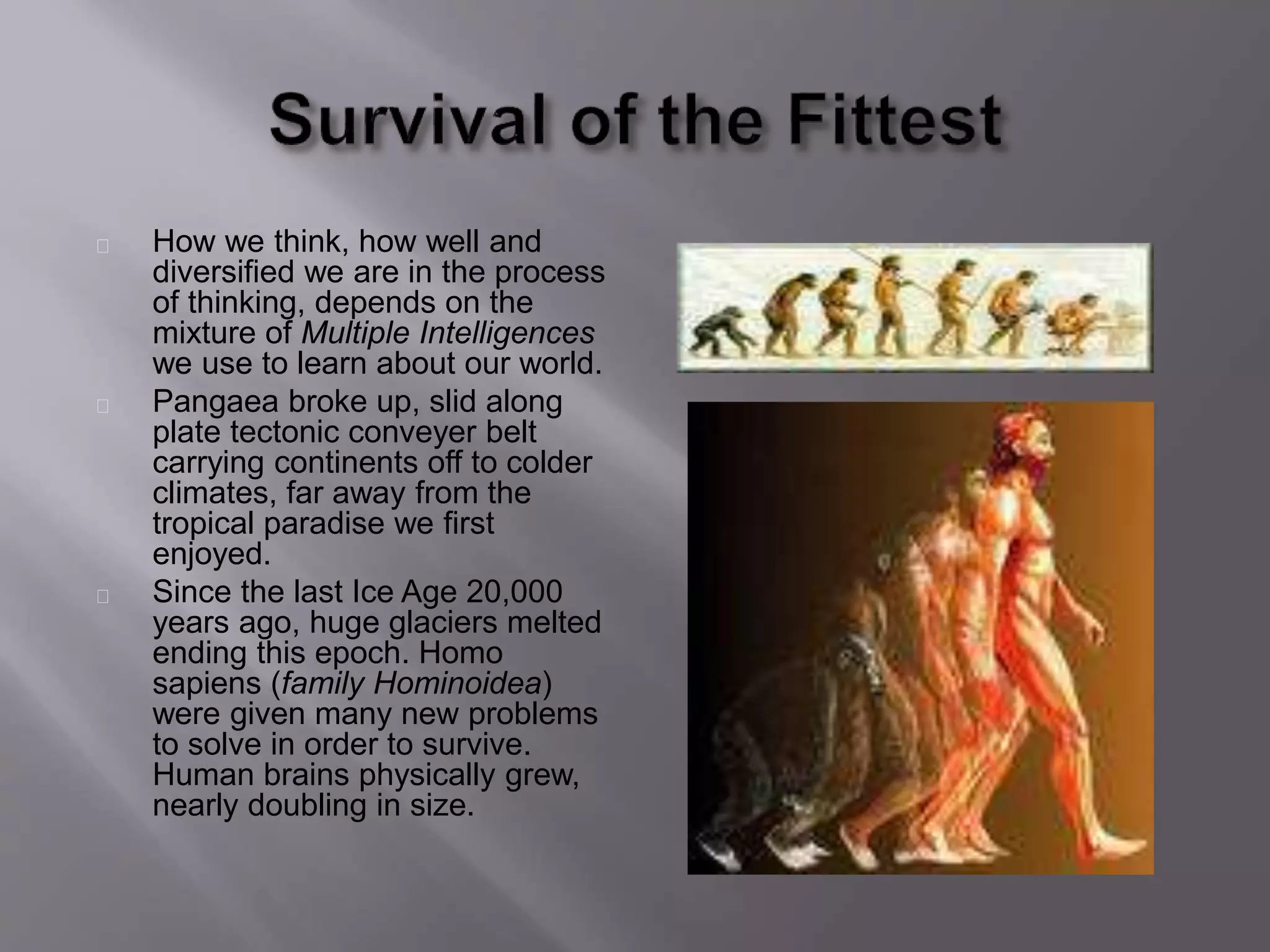 How we think, how well and
diversified we are in the process
of thinking, depends on the
mixture of Multiple Intelligences
we use to learn about our world.
Pangaea broke up, slid along
plate tectonic conveyer belt
carrying continents off to colder
climates, far away from the
tropical paradise we first
enjoyed.
Since the last Ice Age 20,000
years ago, huge glaciers melted
ending this epoch. Homo
sapiens (family Hominoidea)
were given many new problems
to solve in order to survive.
Human brains physically grew,
nearly doubling in size.
 