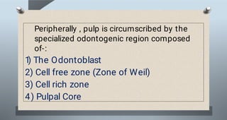 Soft Pulp file (6).pdf pulp soft tissue bds first year | PDF