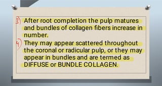 Pulp Bundle file (6).pdf pulp soft tissue bds first year | PDF