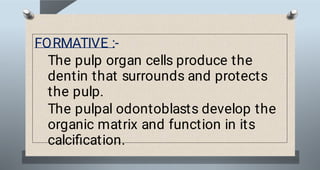 Soft Pulp file (6).pdf pulp soft tissue bds first year | PDF