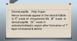 Soft Pulp file (6).pdf pulp soft tissue bds first year | PDF