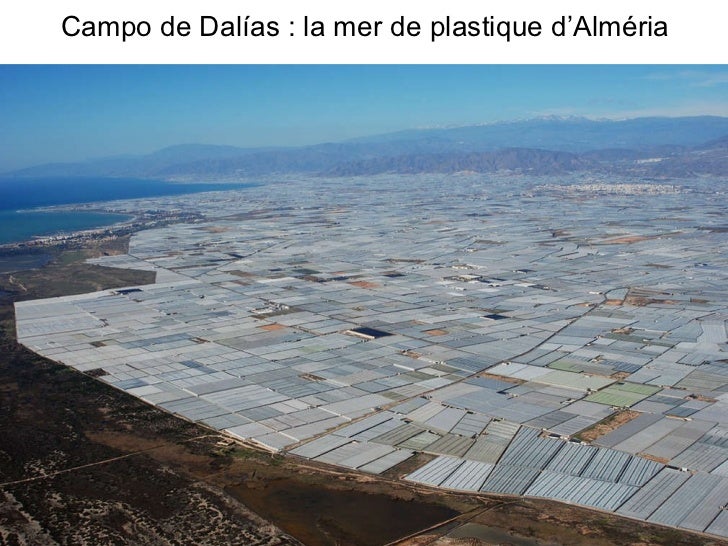 Mer De Plastique Espagne Vue Du Ciel