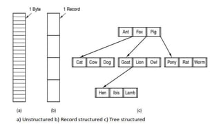 File and directory | PPTX