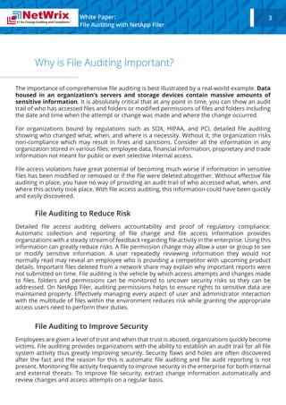 File auditing on NetApp Filer | PDF