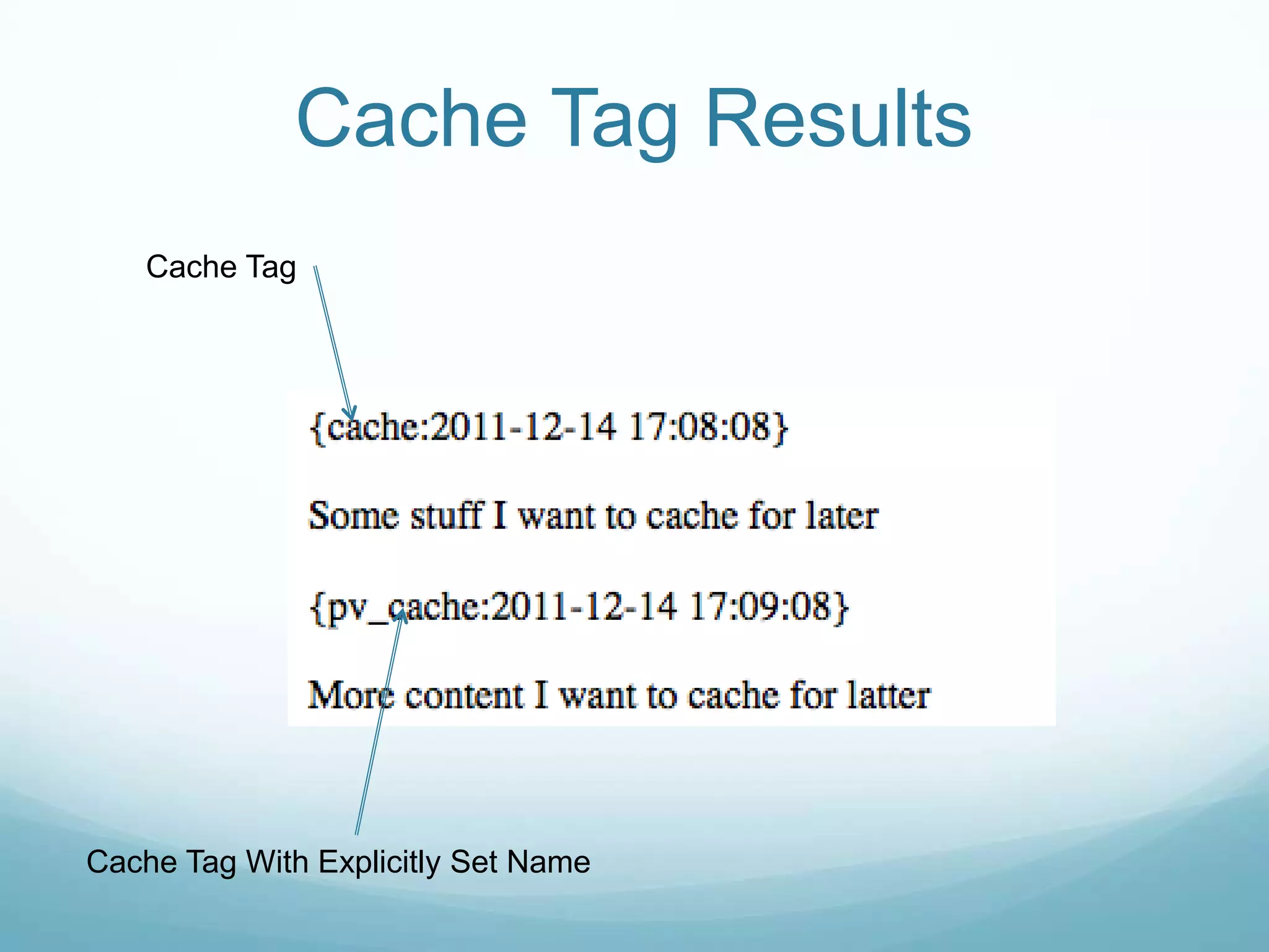 Cache Tag Results
    Cache Tag




Cache Tag With Explicitly Set Name
 