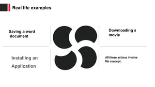 File Concept for computer science students and for information ...