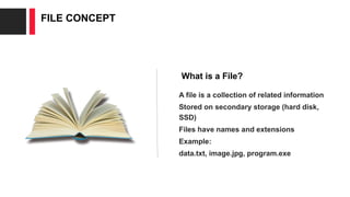 File Concept for computer science students and for information ...
