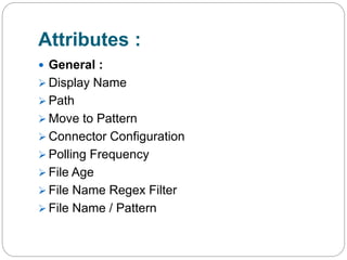Attributes :
 General :
 Display Name
 Path
 Move to Pattern
 Connector Configuration
 Polling Frequency
 File Age
 File Name Regex Filter
 File Name / Pattern
 