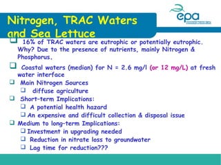 Nitrogen, TRAC Waters
and Sea Lettuce


16% of TRAC waters are eutrophic or potentially eutrophic.
Why? Due to the presence of nutrients, mainly Nitrogen &
Phosphorus.



Coastal waters (median) for N = 2.6 mg/l (or 12 mg/L) at fresh
water interface
 Main Nitrogen Sources
 diffuse agriculture
 Short–term Implications:
 A potential health hazard
 An expensive and difficult collection & disposal issue
 Medium to long–term Implications:
 Investment in upgrading needed
 Reduction in nitrate loss to groundwater
 Lag time for reduction???

 