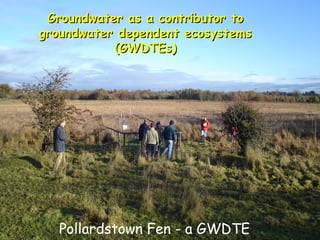 Groundwater as a contributor to
groundwater dependent ecosystems
(GWDTEs)

Pollardstown Fen - a GWDTE

 
