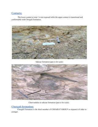 Contacts:
The lower contact at stop 1 is not exposed while the upper contact is transitional and
conformable with Chorgali Formation.
Sakesar formation (pen is for scale)
Chert nodules in sakesar formation (pen is for scale).
Chorgali formation:
Chorgali Formation is the third member of CHHARAT GROUP in sequence of older to
younger.
 