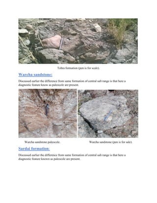 Tobra formation (pen is for scale).
Warcha sandstone:
Discussed earlier the difference from same formation of central salt range is that here a
diagnostic feature know as paleocole are present.
Warcha sandstone paleocole. Warcha sandstone (pen is for sale).
Sardai formation:
Discussed earlier the difference from same formation of central salt range is that here a
diagnostic feature known as paleocole are present.
paleocole
 