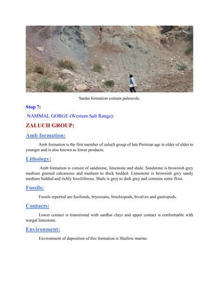 Sardai formation contain paleocole.
Stop 7:
NAMMAL GORGE (Western Salt Range):
ZALUCH GROUP:
Amb formation:
Amb formation is the first member of zaluch group of late Permian age in older of older to
younger and is also known as lower products.
Lithology:
Amb formation is consist of sandstone, limestone and shale. Sandstone is brownish grey
medium grained calcareous and medium to thick bedded. Limestone is brownish grey sandy
medium bedded and richly fossiliferous. Shale is grey to dark grey and contains some flora.
Fossils:
Fossils reported are fusilinids, bryozoans, brachiopods, bivalves and gastropods.
Contacts:
Lower contact is transitional with sardhai clays and upper contact is conformable with
wargal limestone.
Environment:
Environment of deposition of this formation is Shallow marine.
 