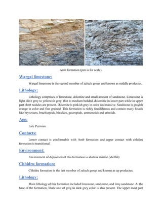 Amb formation (pen is for scale).
Wargal limestone:
Wargal limestone is the second member of zaluch group and known as middle productus.
Lithology:
Lithology comprises of limestone, dolomite and small amount of sandstone. Limestone is
light olive grey to yellowish grey, thin to medium bedded, dolomitic in lower part while in upper
part chert nodules are present. Dolomite is pinkish grey in color and massive. Sandstone is grayish
orange in color and fine grained. This formation is richly fossiliferous and contain many fossils
like bryozoans, brachiopods, bivalves, gastropods, ammonoids and crinoids.
Age:
Late Permian.
Contacts:
Lower contact is conformable with Amb formation and upper contact with chhidru
formation is transitional.
Environment:
Environment of deposition of this formation is shallow marine (shelfal).
Chhidru formation:
Chhidru formation is the last member of zaluch group and known as up productus.
Lithology:
Main lithology of this formation included limestone, sandstone, and limy sandstone. At the
base of the formation, Shale unit of grey to dark grey color is also present. The upper most part
 