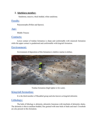 2. khatkiara member:
Sandstone, massive, thick bedded, white sandstone.
Fossils:
Palynomorphs (Pollen and Spores).
Age:
Middle Triassic
Contacts:
Lower contact of tredian formation is sharp and conformable with mianwali formation
while the upper contact is gradational and conformable with kingriali formation.
Environment:
Environment of deposition of this formation is shallow marine to deltaic.
Tredian formation (high lighter is for scale).
Kingriali formation:
It is the third member of Musakhel group and also known as kingriali dolomite.
Lithology:
The bulk of lithology is dolomite, dolomitic limestone with interbeds of dolomitic shales.
The dolomite is thin to medium bedded, fine grained with inter beds of shale and marl. Crossbeds
are also present in this formation.
 
