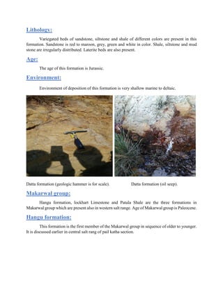 Lithology:
Variegated beds of sandstone, siltstone and shale of different colors are present in this
formation. Sandstone is red to maroon, grey, green and white in color. Shale, siltstone and mud
stone are irregularly distributed. Laterite beds are also present.
Age:
The age of this formation is Jurassic.
Environment:
Environment of deposition of this formation is very shallow marine to deltaic.
Datta formation (geologic hammer is for scale). Datta formation (oil seep).
Makarwal group:
Hangu formation, lockhart Limestone and Patala Shale are the three formations in
Makarwal group which are present also in western salt range. Age of Makarwal group is Paleocene.
Hangu formation:
This formation is the first member of the Makarwal group in sequence of older to younger.
It is discussed earlier in central salt rang of pail katha section.
 
