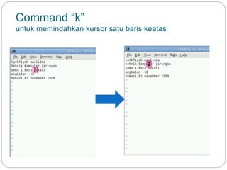 Command “k”
untuk memindahkan kursor satu baris keatas
 