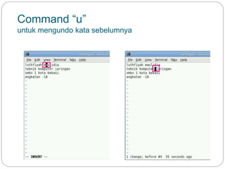 Command “u”
untuk mengundo kata sebelumnya
 