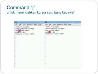 Command “j”
untuk memindahkan kursor satu baris kebawah
 