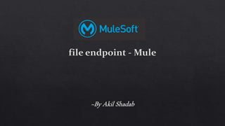 File Endpoint - Mule