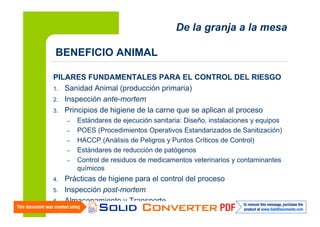 De la granja a la mesa
BENEFICIO ANIMAL
PILARES FUNDAMENTALES PARA EL CONTROL DEL RIESGO
1. Sanidad Animal (producción primaria)
2. Inspección ante-mortem
3. Principios de higiene de la carne que se aplican al proceso
–
–
–
–
–

4.
5.
6.
12

Estándares de ejecución sanitaria: Diseño, instalaciones y equipos
POES (Procedimientos Operativos Estandarizados de Sanitización)
HACCP (Análisis de Peligros y Puntos Críticos de Control)
Estándares de reducción de patógenos
Control de residuos de medicamentos veterinarios y contaminantes
químicos

Prácticas de higiene para el control del proceso
Inspección post-mortem
Almacenamiento y Transporte

 