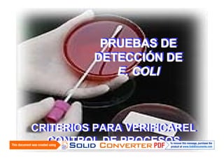 PRUEBAS DE
PRUEBAS DE
DETECCIÓN DE
DETECCIÓN DE
E. COLI
E. COLI

CRITERIOS PARA VERIFICAREL
CRITERIOS PARA VERIFICAREL
CONTROL DE PROCESOS
CONTROL DE PROCESOS

 